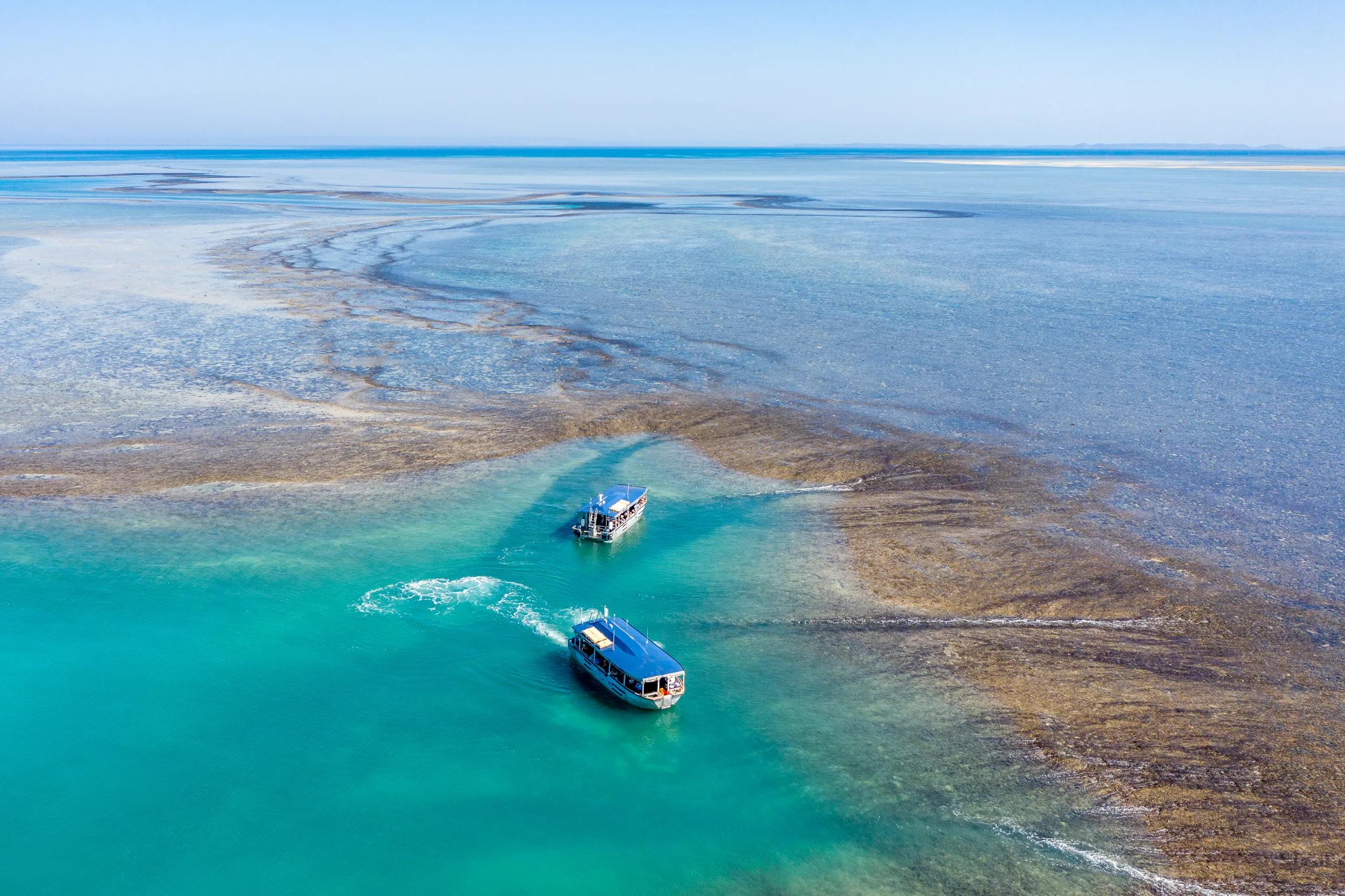 Coral Coast Adventure with South Western Discovery