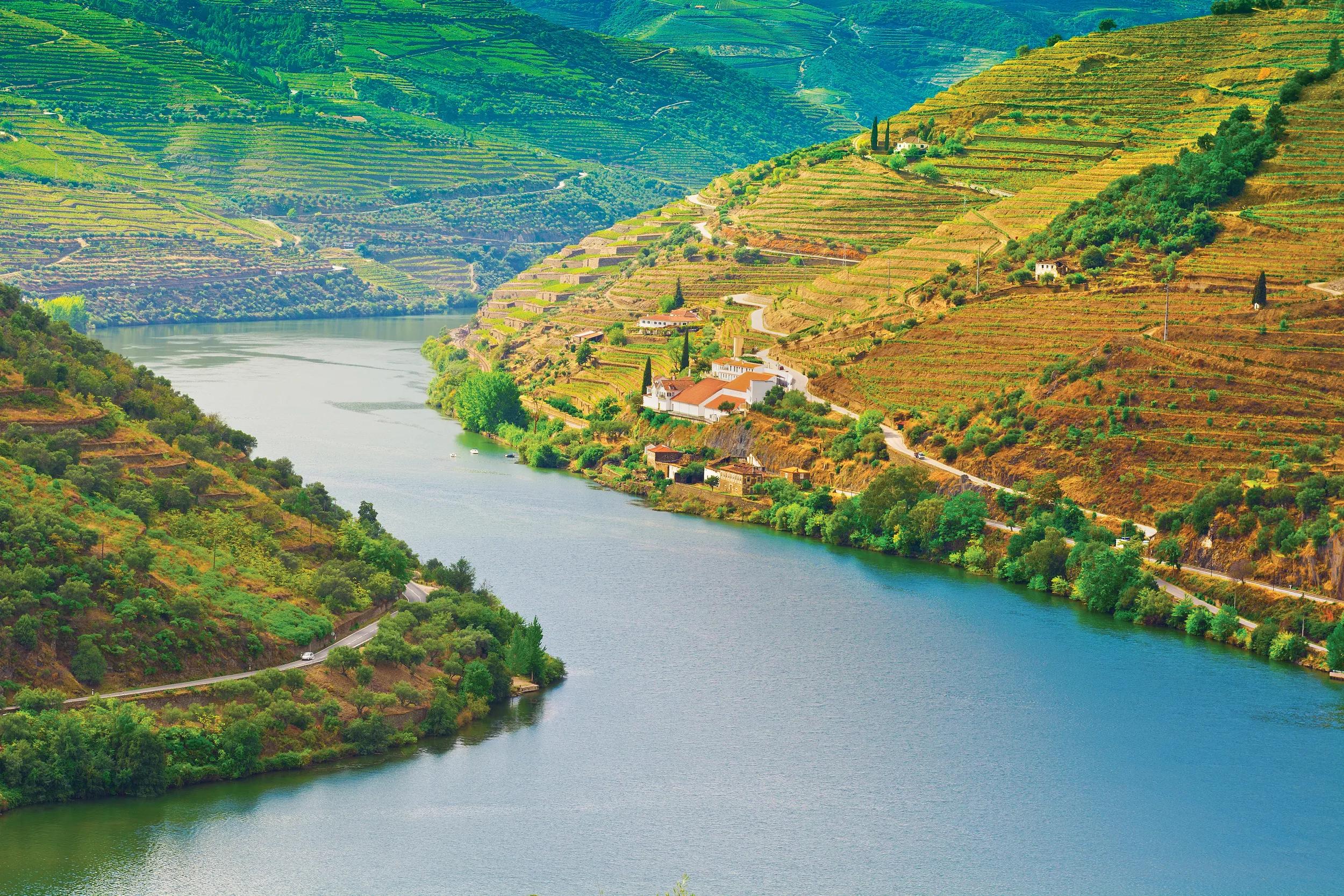 Essence of Portugal and Douro Discovery