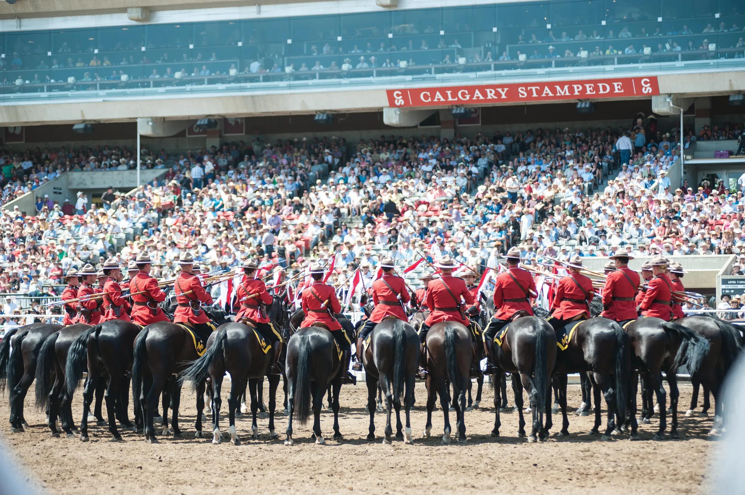 Calgary Stampede Rockies