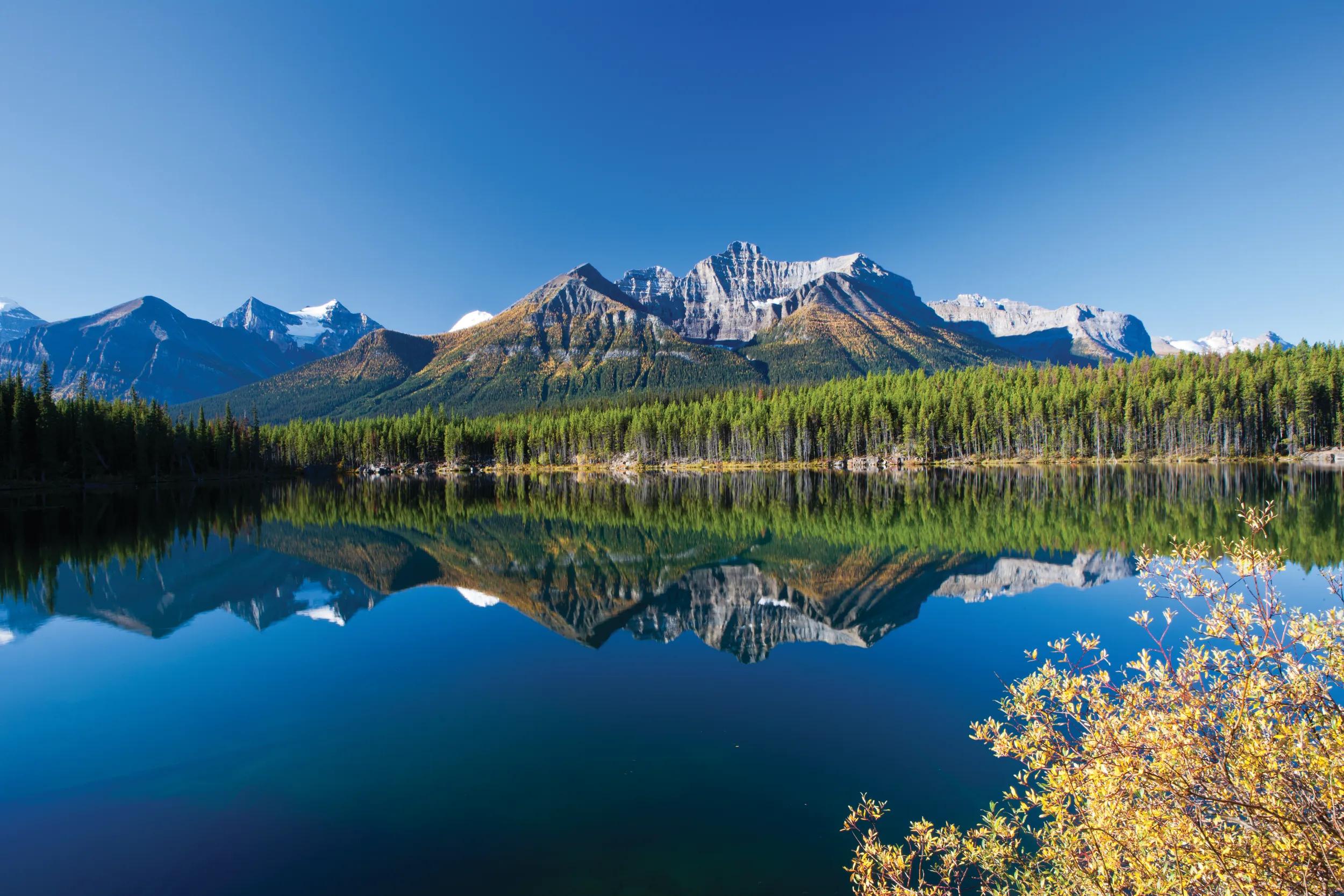 Rockies Discovery and Alaska Cruise